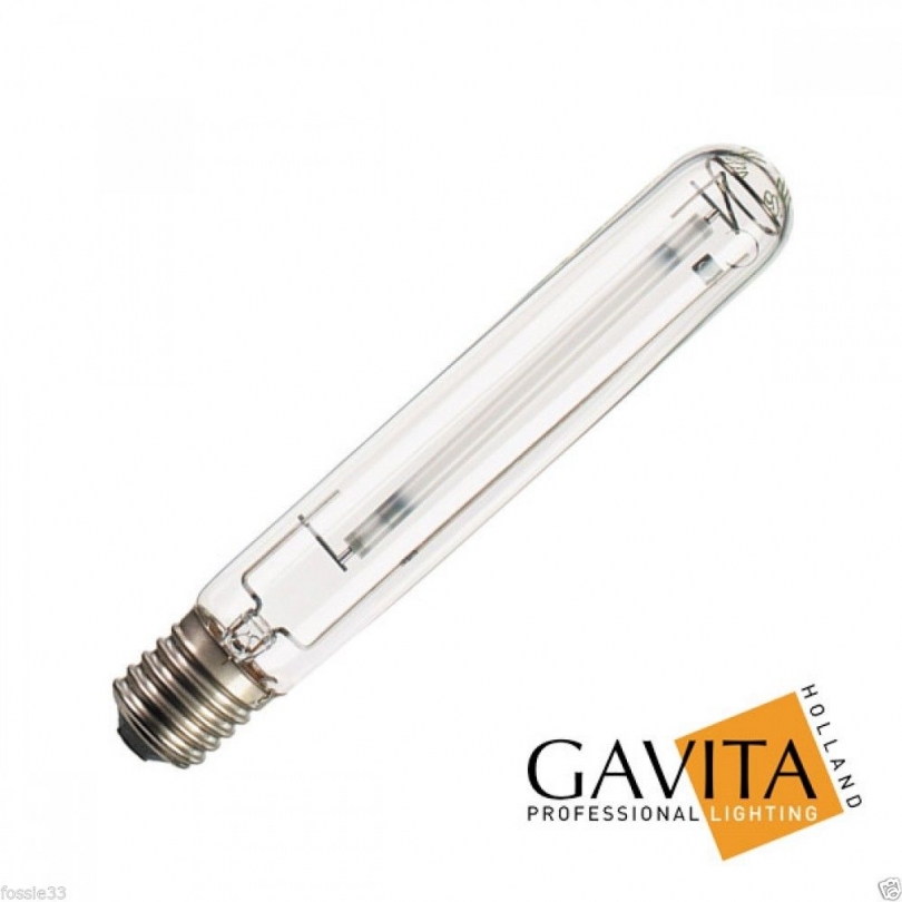 600W Gavita Enhanced HPS Lamp Root 2 Success